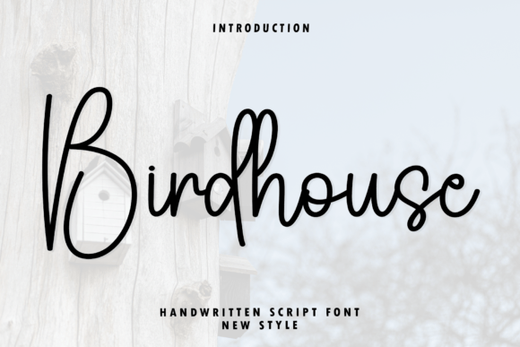 Why Birdhouse Font Feels Like a Quiet Conversation