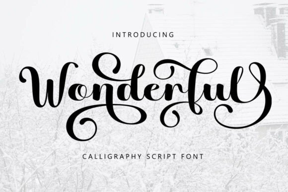 Wonderful: The Elegant Script Font That Elevates Your Creative Projects